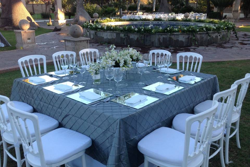 Mantel plata y silla blanca