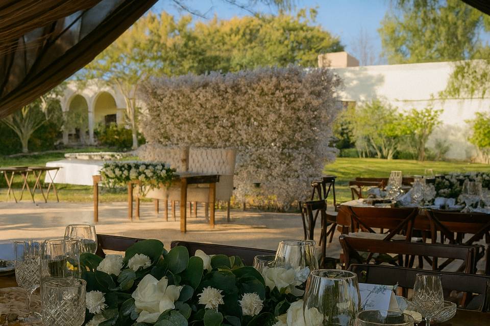 Bodas