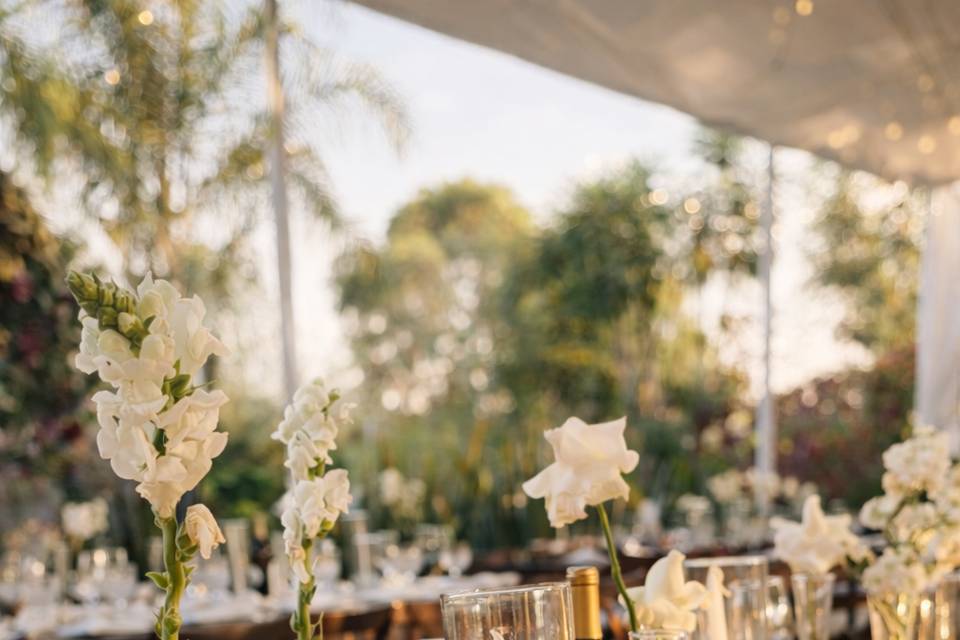Bodas