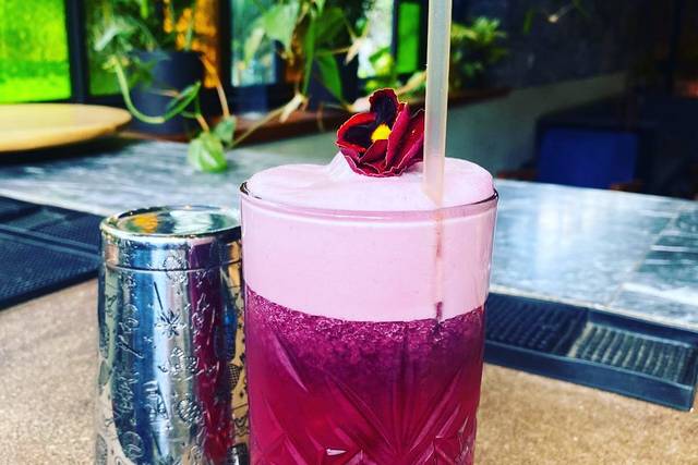 Gin & Go - Consulta disponibilidad y precios