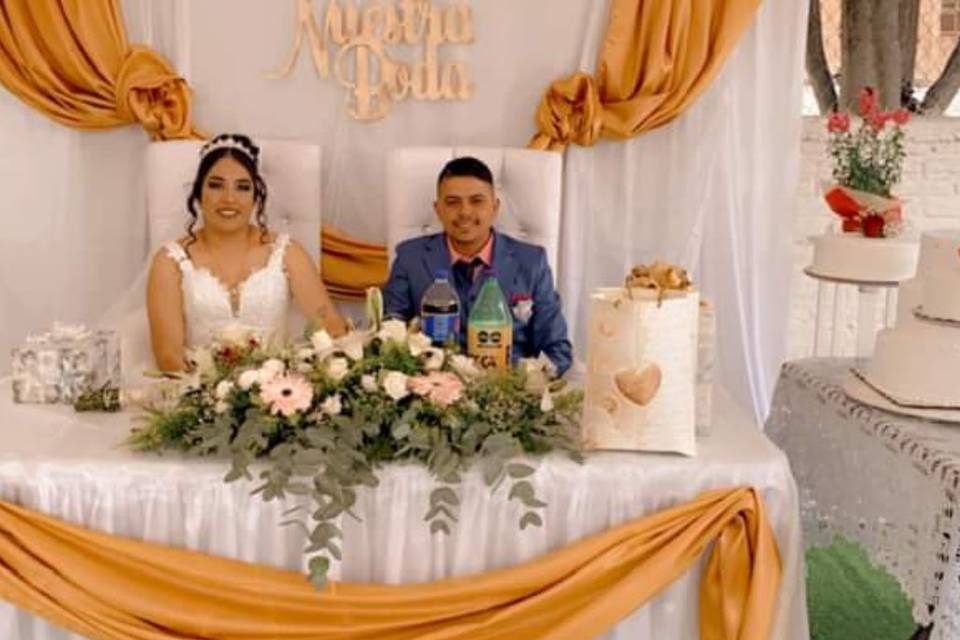 Vida de Novia