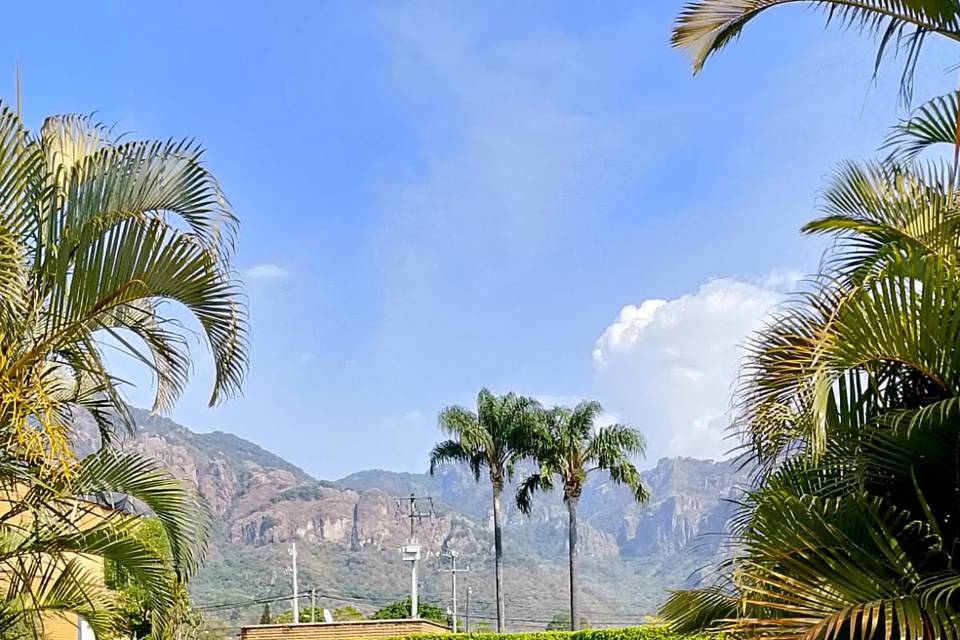 Jardín real