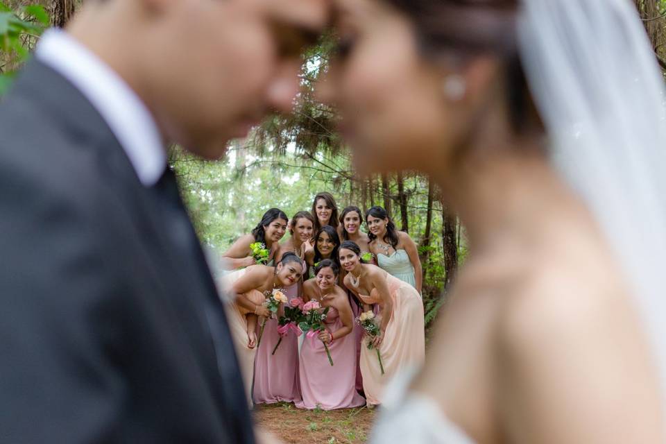 Damas y novios