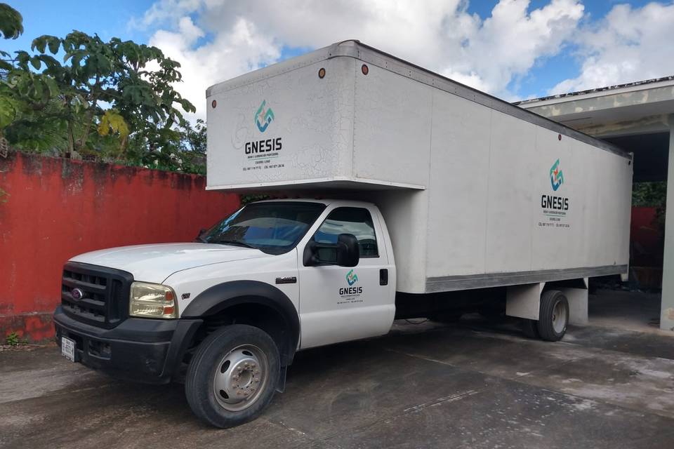 Camion de carga