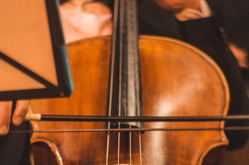 Cello