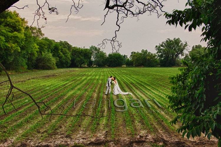 Fotografía para bodas