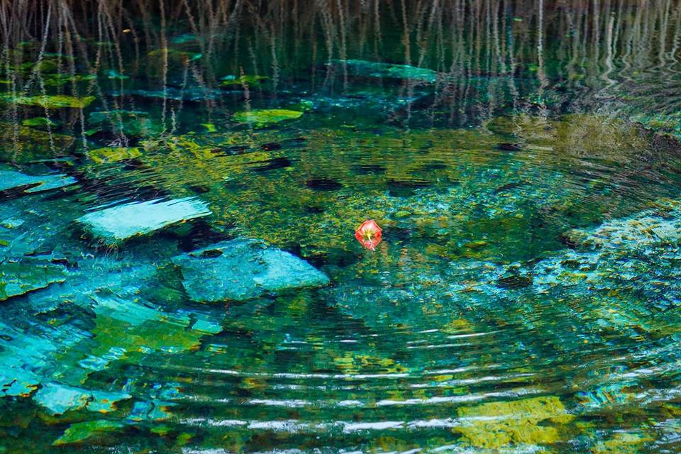 Boda en cenote