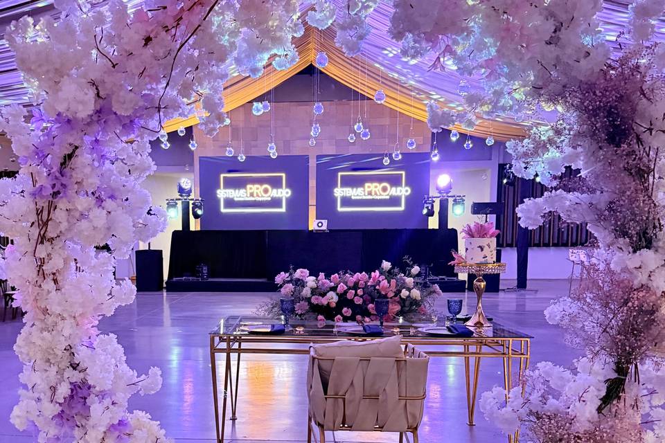 Paquete pantalla Led Doble