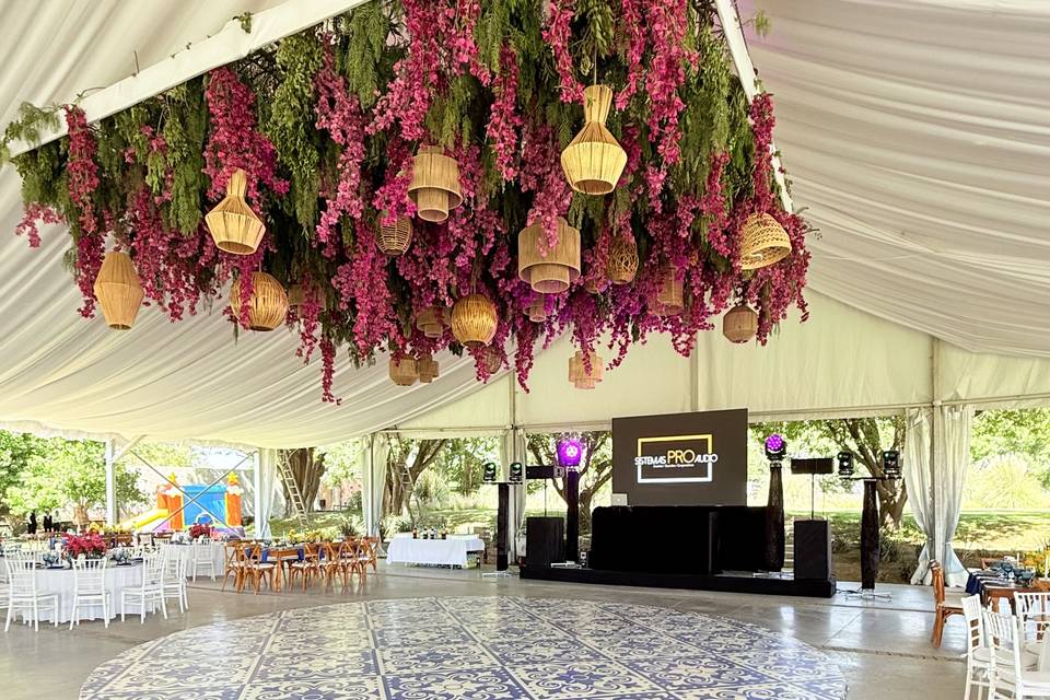 Paquete pantalla Led