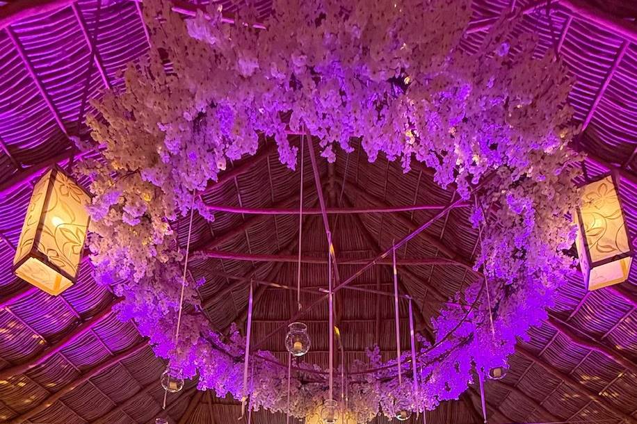 Paquete pantalla led