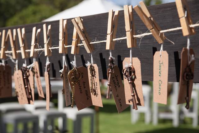 Siempre tiene ideas únicas