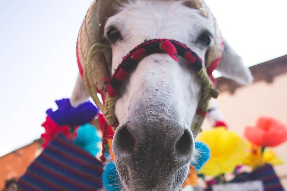 San Miguel de Allende