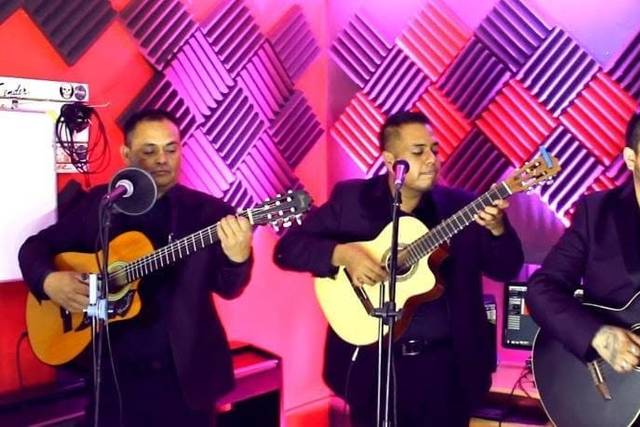 Trio del Viento