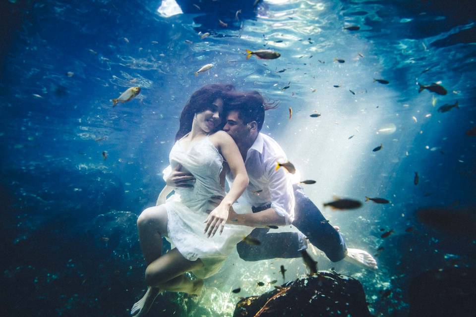 Trash The Dress