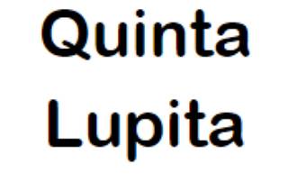 Quinta Lupita