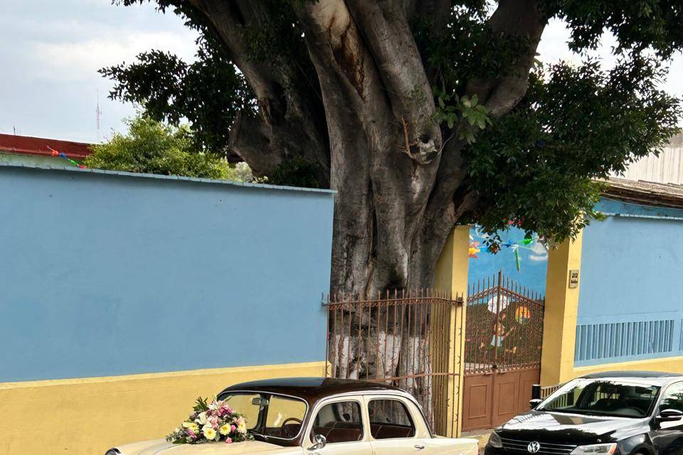 Coche de novia