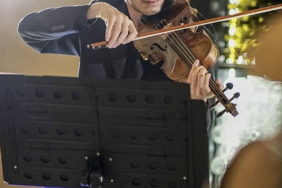 Violín
