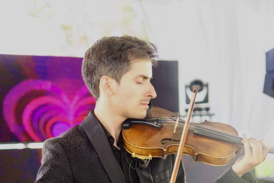 Violín