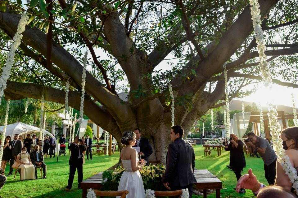 Boda bajo árbol