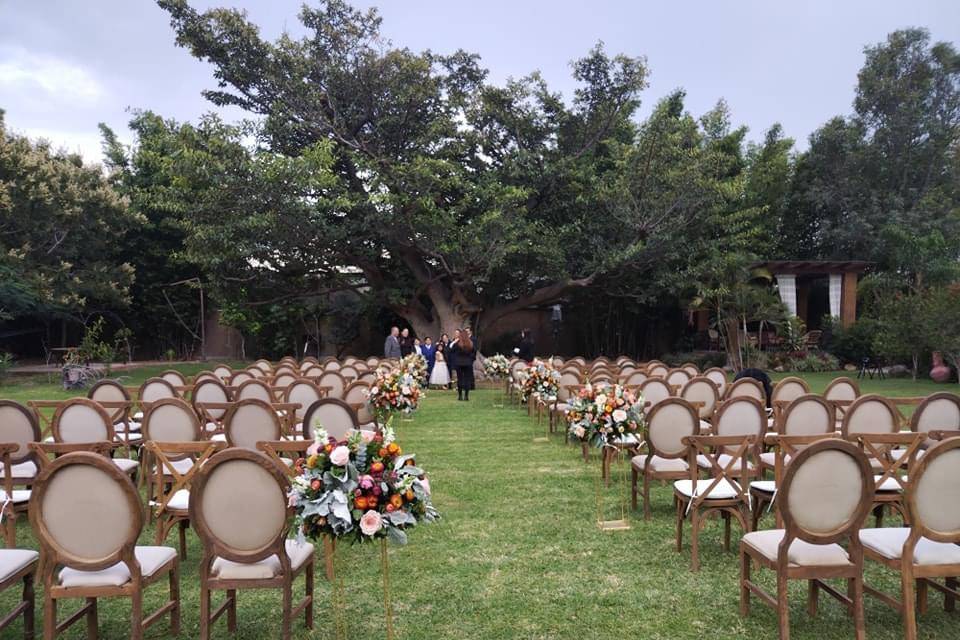 Ceremonia bajo el árbol