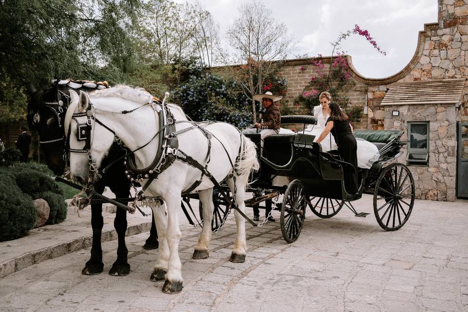 Boda Magica