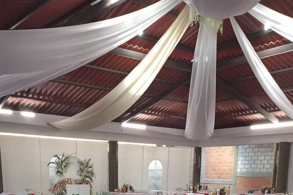 La viznaga