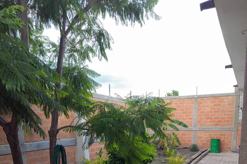 Jardin