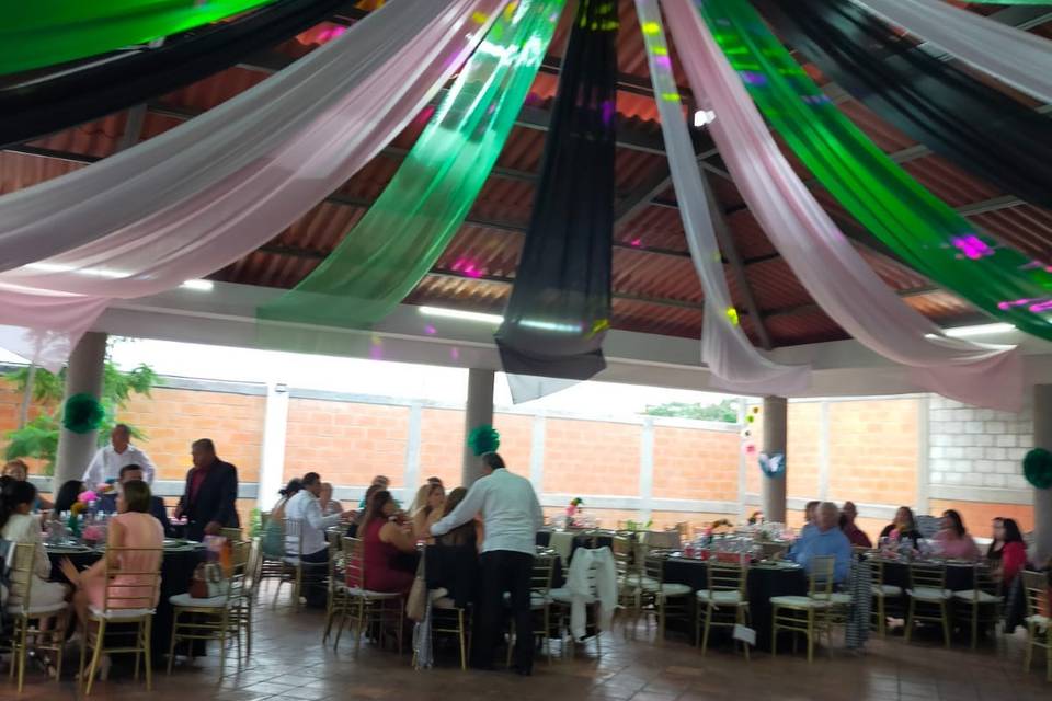 La Viznaga