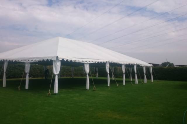 Carpa espectacular