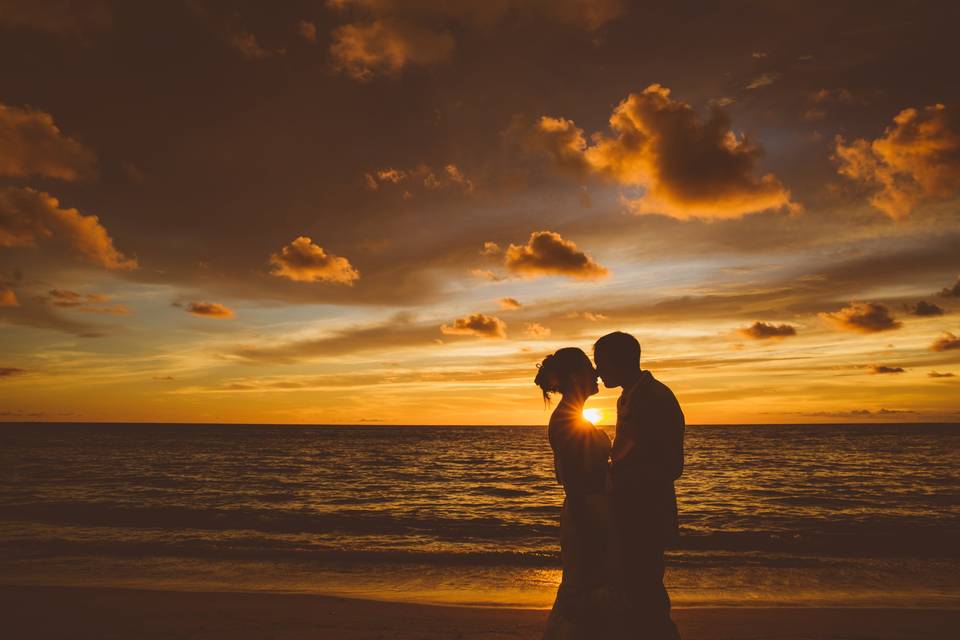 Trash The Dress