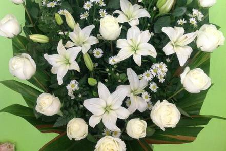 Creaciones originales