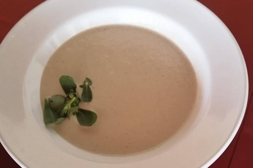 Crema de champiñon