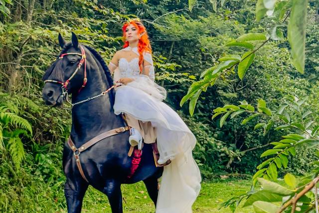 Horse & Beauty Bride