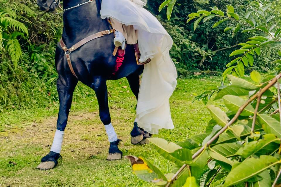 Horse & Beauty Bride