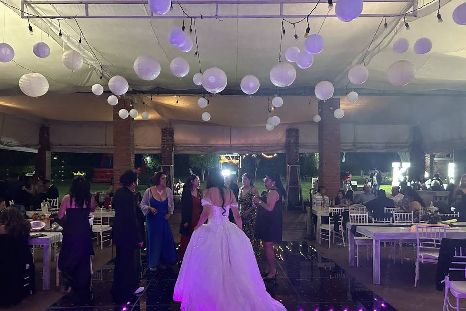 Bodas