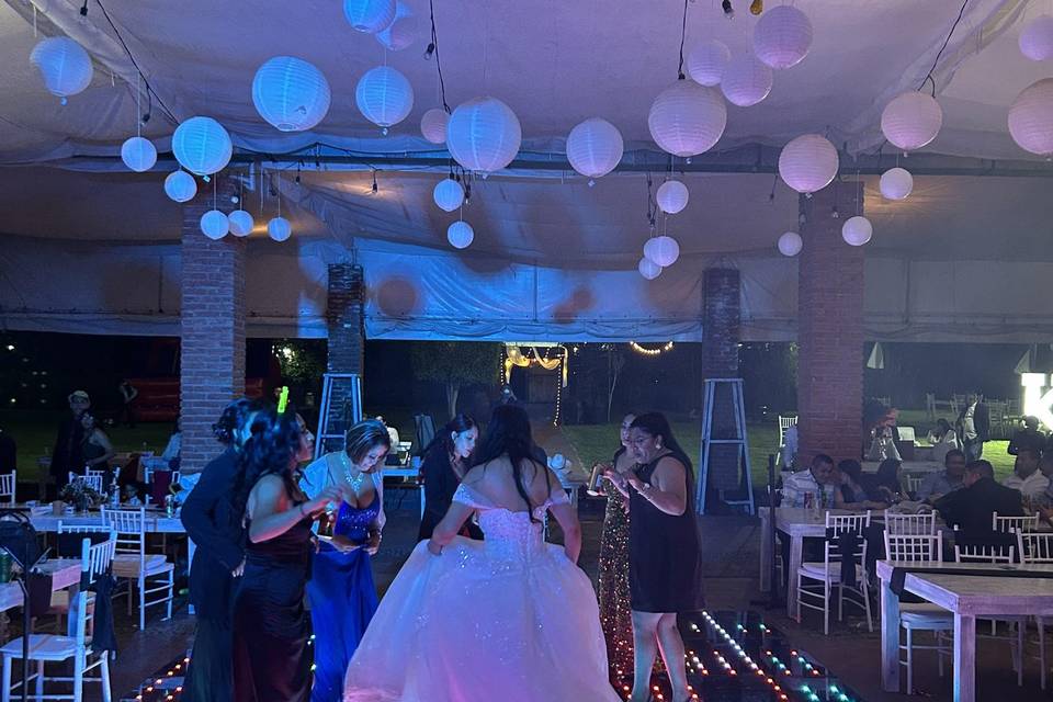 Bodas