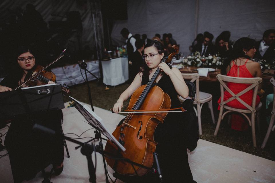 Piano y orquesta de cuerdas