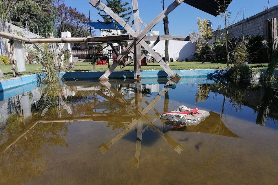 Estanque de peces