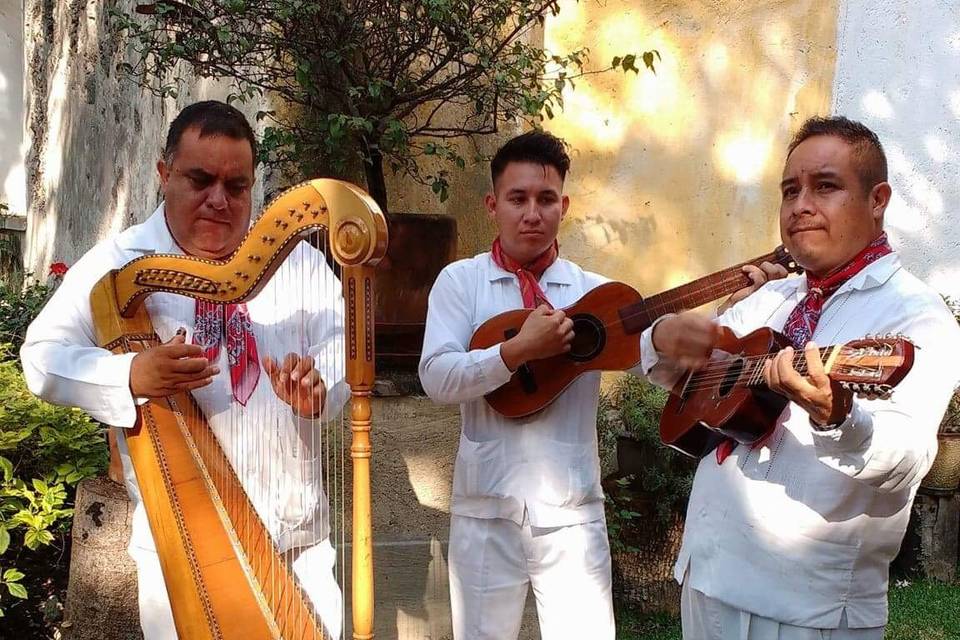 Conjunto jarocho