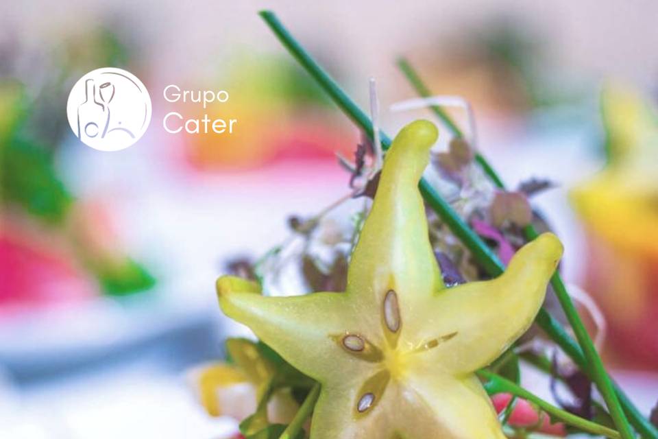 Grupo Cater