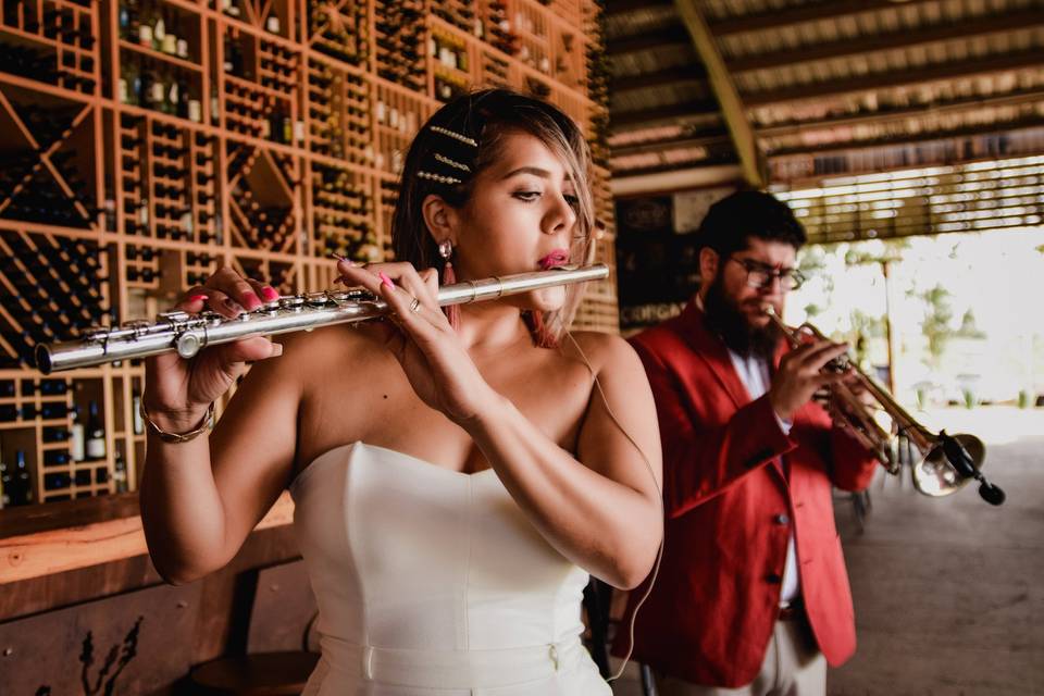 En el Valle de Guadalupe