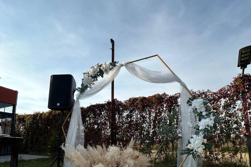 Bodas