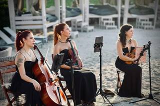 Madera Strings