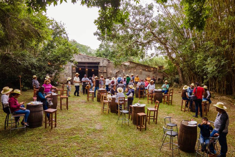 Lounge en jardín