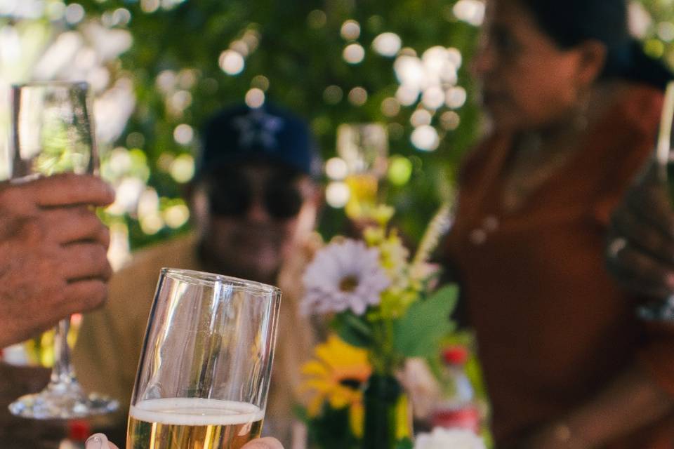 Brindis