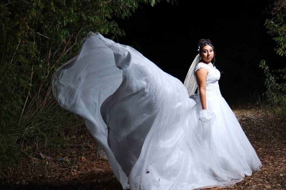 Novia