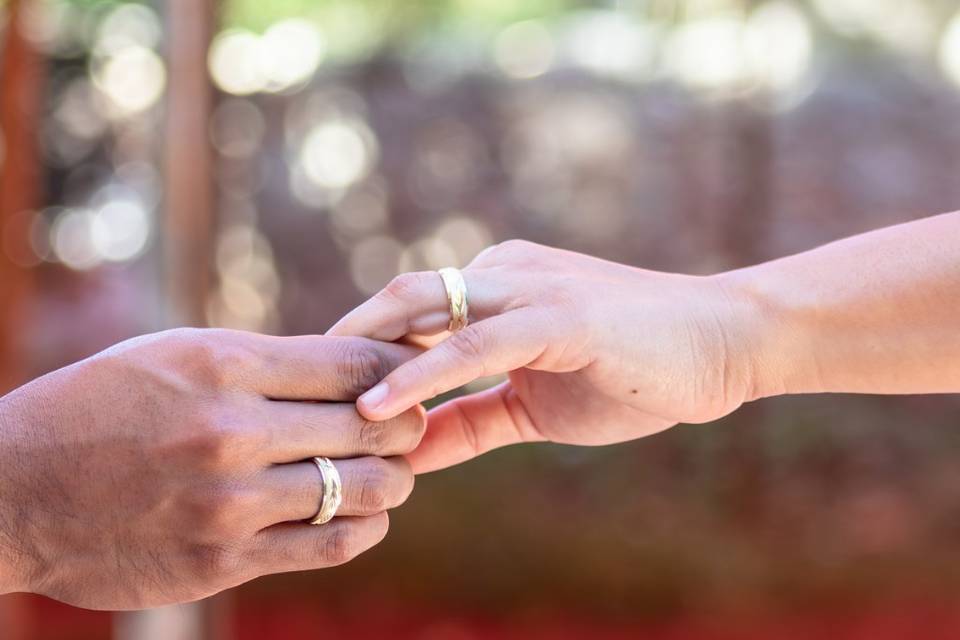 Anillos