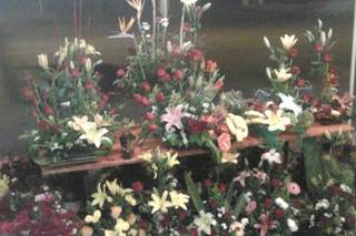 Florería Colibrí