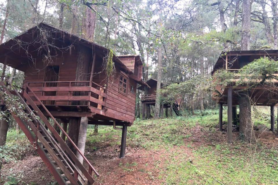 Cabañas en los árboles