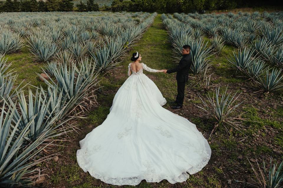 Tradiciones y cultura